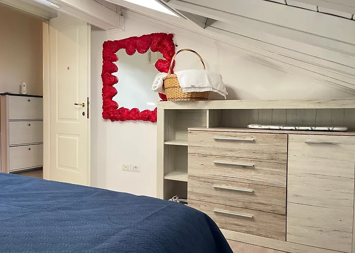 Loris * ティラナ